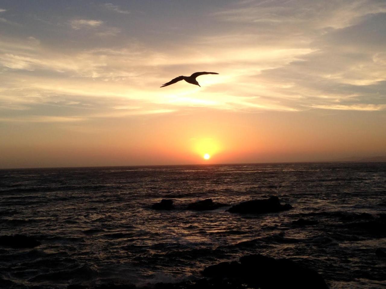 Moonstone Landing Hotel Cambria